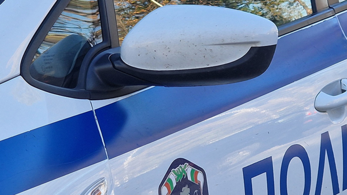 Питбул нападна три деца в "Меден рудник"...