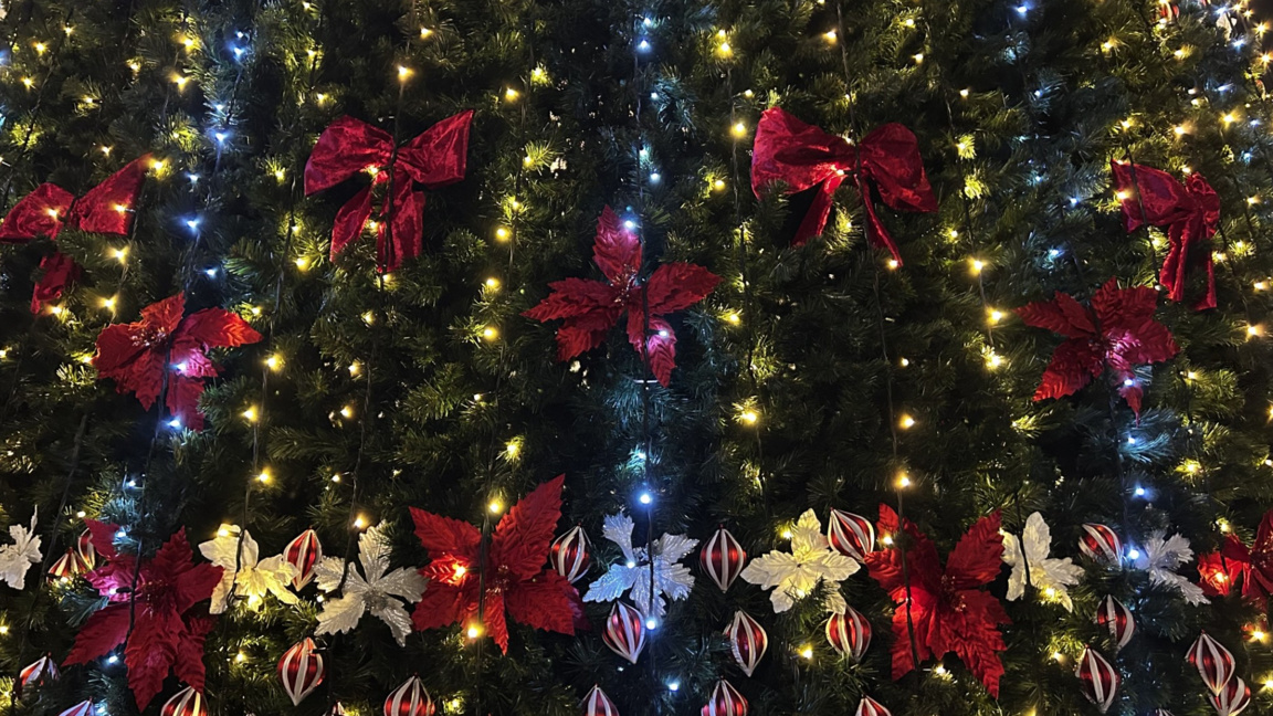 Burrat e parë të shtetit uruan bullgarët...