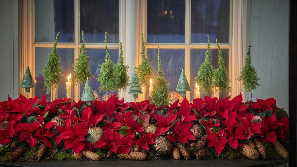 Какви са насторенията и емоциите в Кюсте...