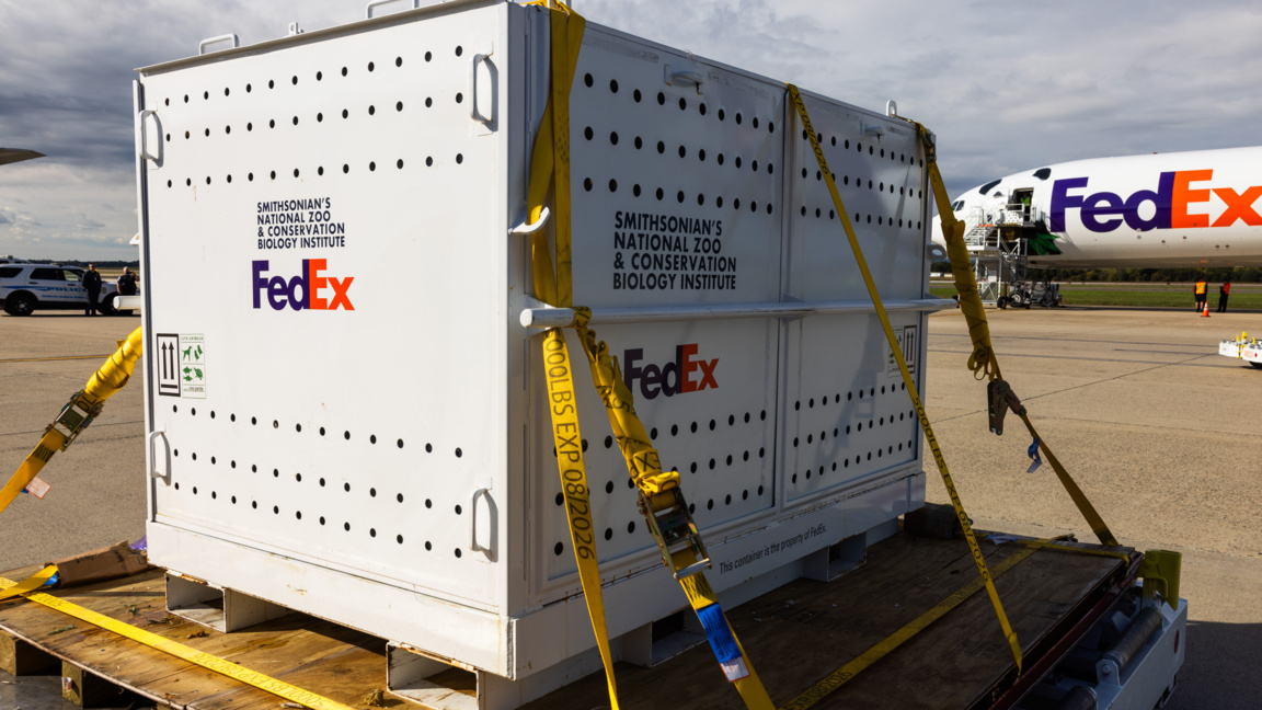 FedEx съди САЩ за възстановяване на средствата от "незаконните" мита