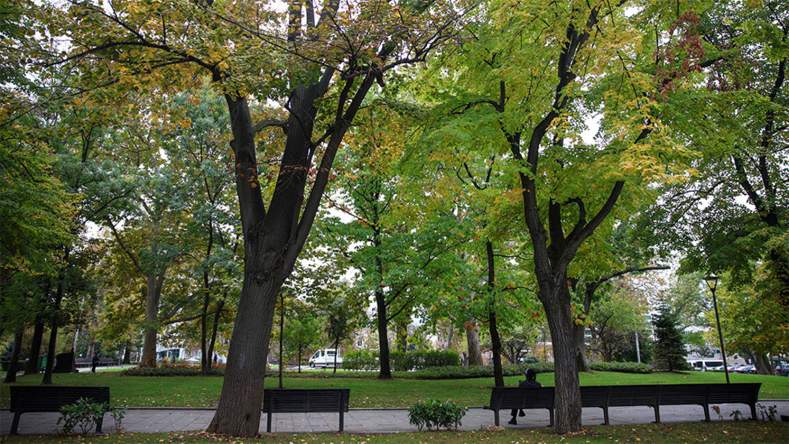 Инж. Калоян Карамитов: Трябва да има приоритизация на терените за отчуждаване