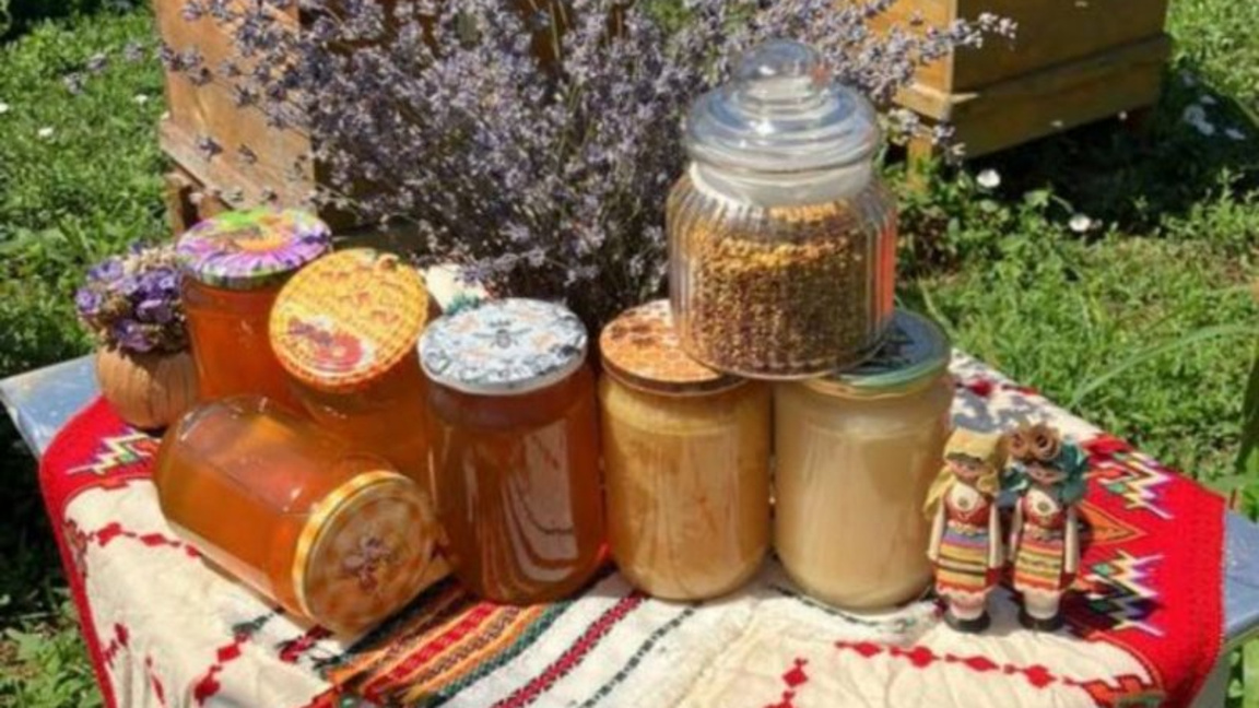 За над 2500 пчелни семейства се грижат п...