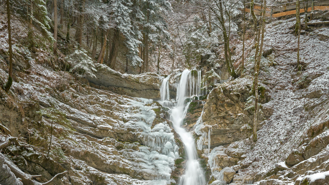 Снимката е илюстративна