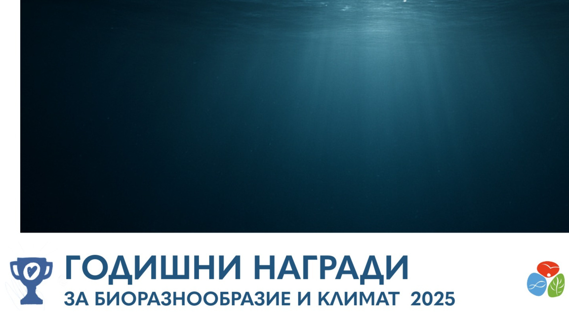 Афиш на събитието