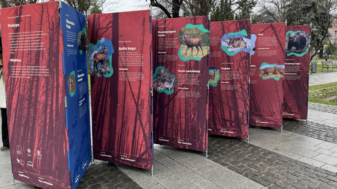 изложба "Уязвимите"