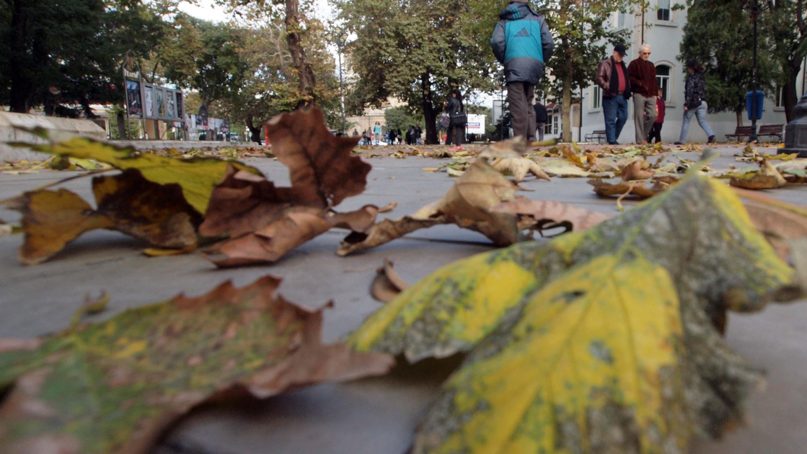 Жълт код за вятър в 16 области