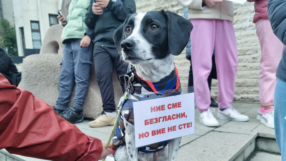 Ulusal Hayvanları Koruma Kurumu’nun kuru...