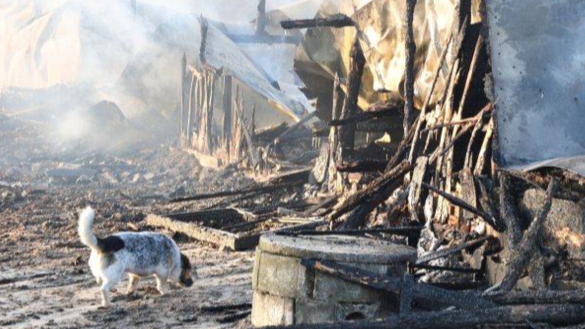 До две седмици излизат резултатите за пожара във "Фанагория"