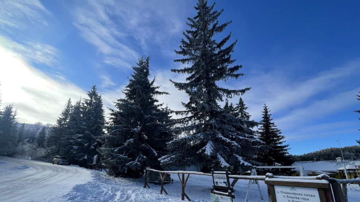 "Ден след ден" на 12 януари...