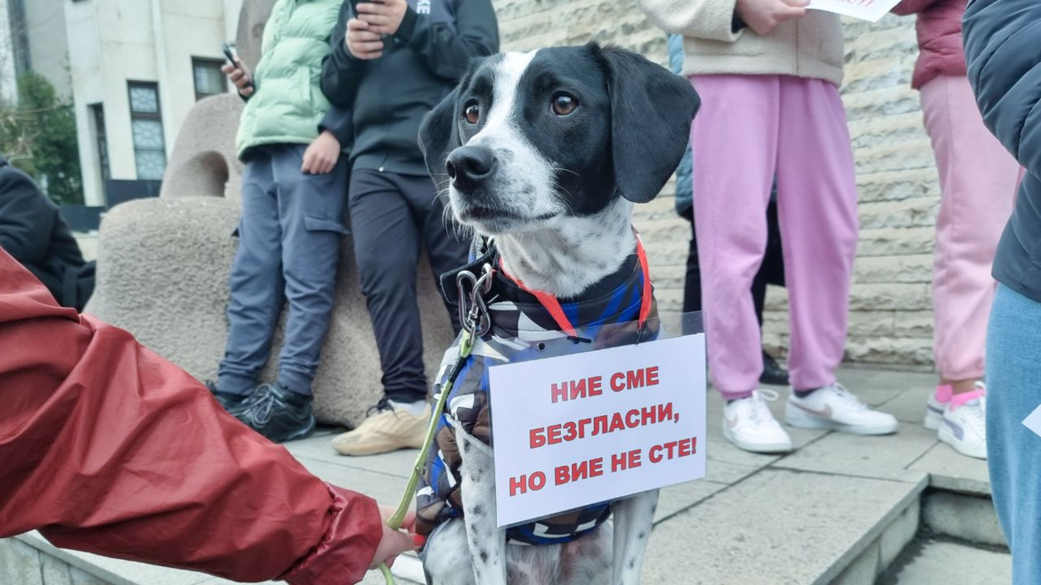 L’idée d’une Agence nationale pour la Défense des Animaux monte en puissance
