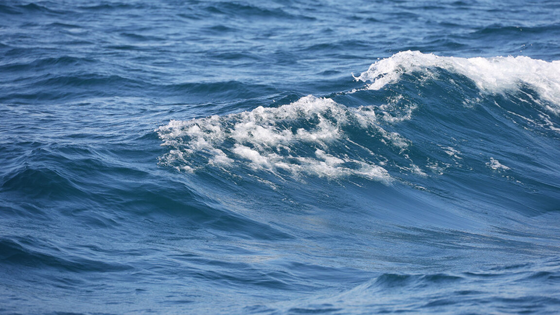 Океанското споразумение влезе в сила, а България още се бави с ратифицирането му