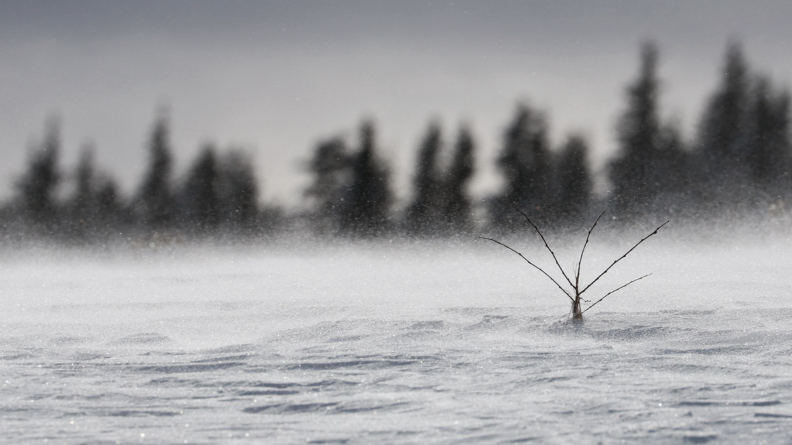 Cod galben pentru ninsoare în estul Bulg...