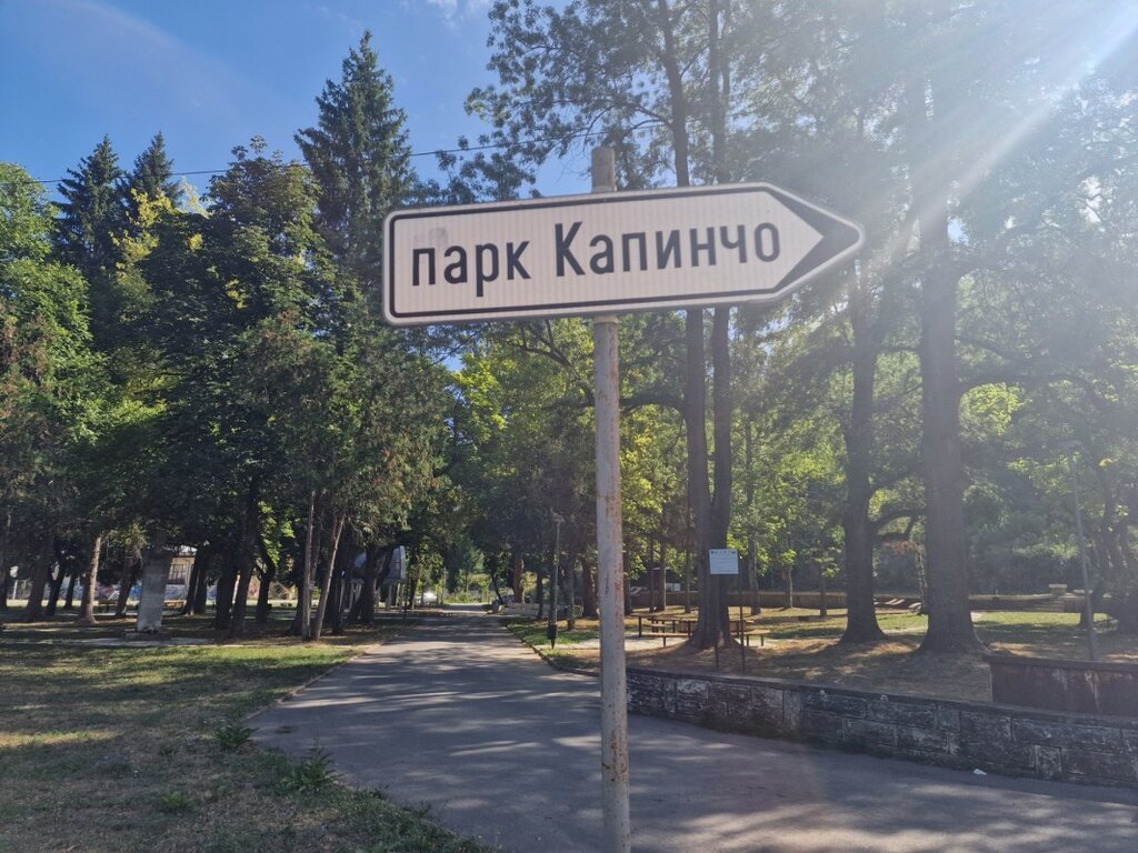 Мечка е забелязана в градски парк в Троян