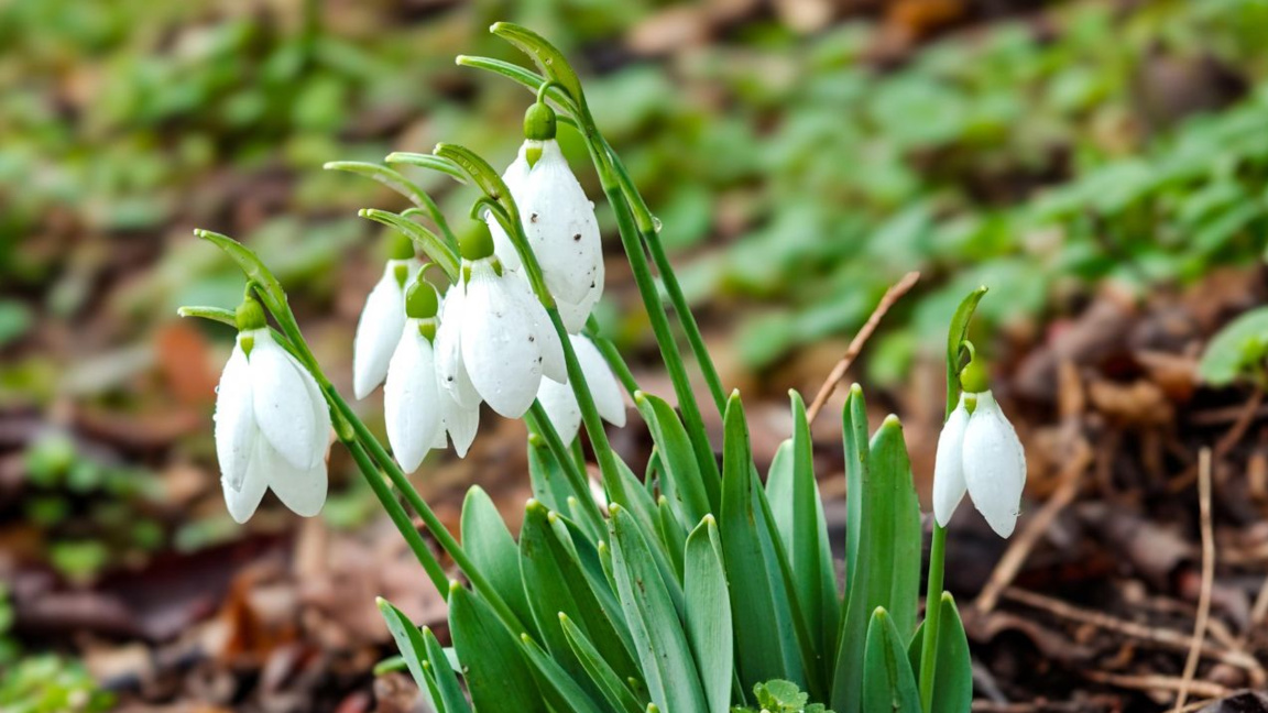 Άνοδος των ημερήσιων θερμοκρασιών κατά 2...