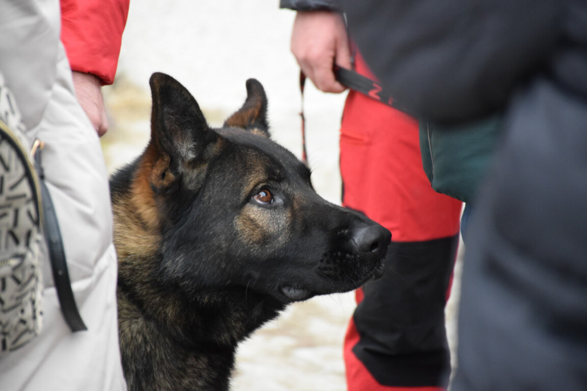 Продължава издирването на 20-годишната Стефани