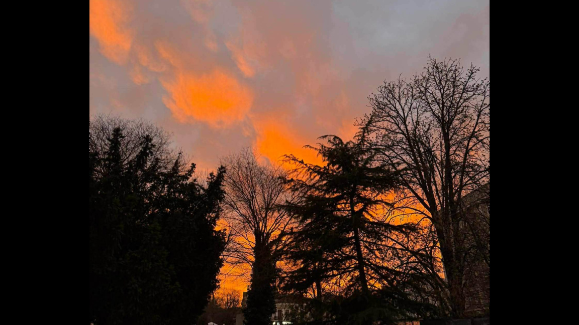 С "Денят на совите" и на 15 април...