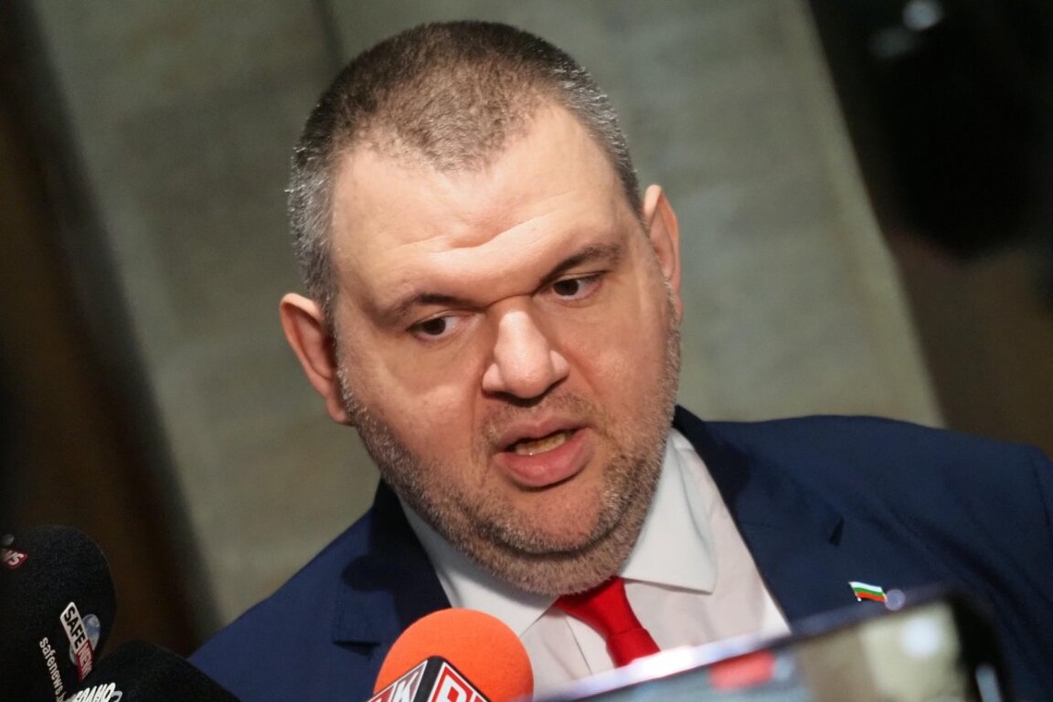Делян Пеевски: Вотът на недоверие е безсмислено упражнение