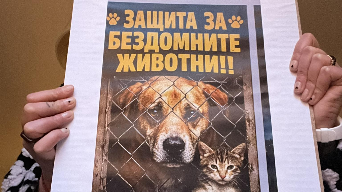 Протест във Велинград срещу тровенето на бездомни животни