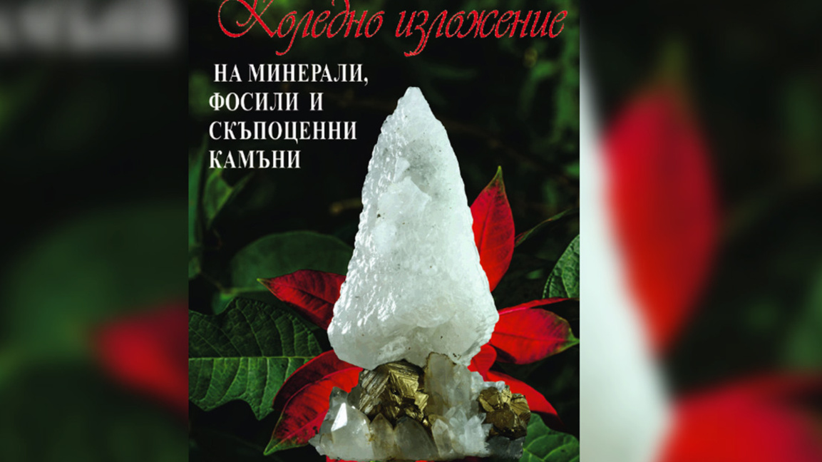 Magie de Noël au Musée "La Terre et les ...