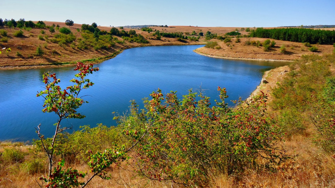 Община Болярово отдава под наем общински...
