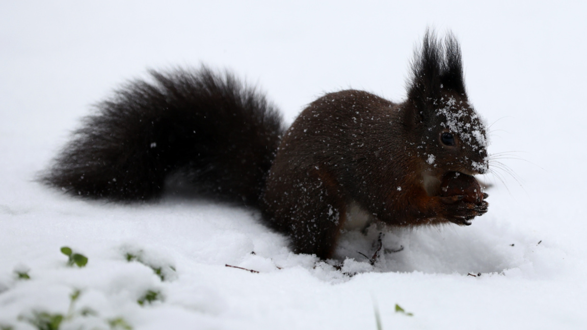 La sfârșitul săptămânii, vremea se va ră...