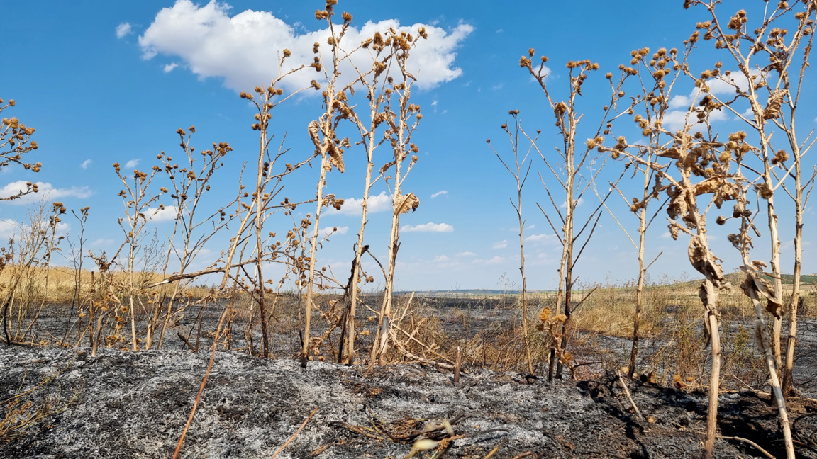 Пожар гори край сливенското село Желю войвода