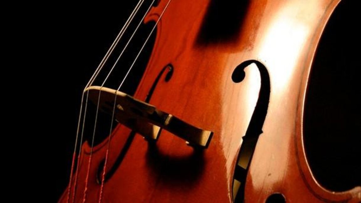 cello виолончело 610