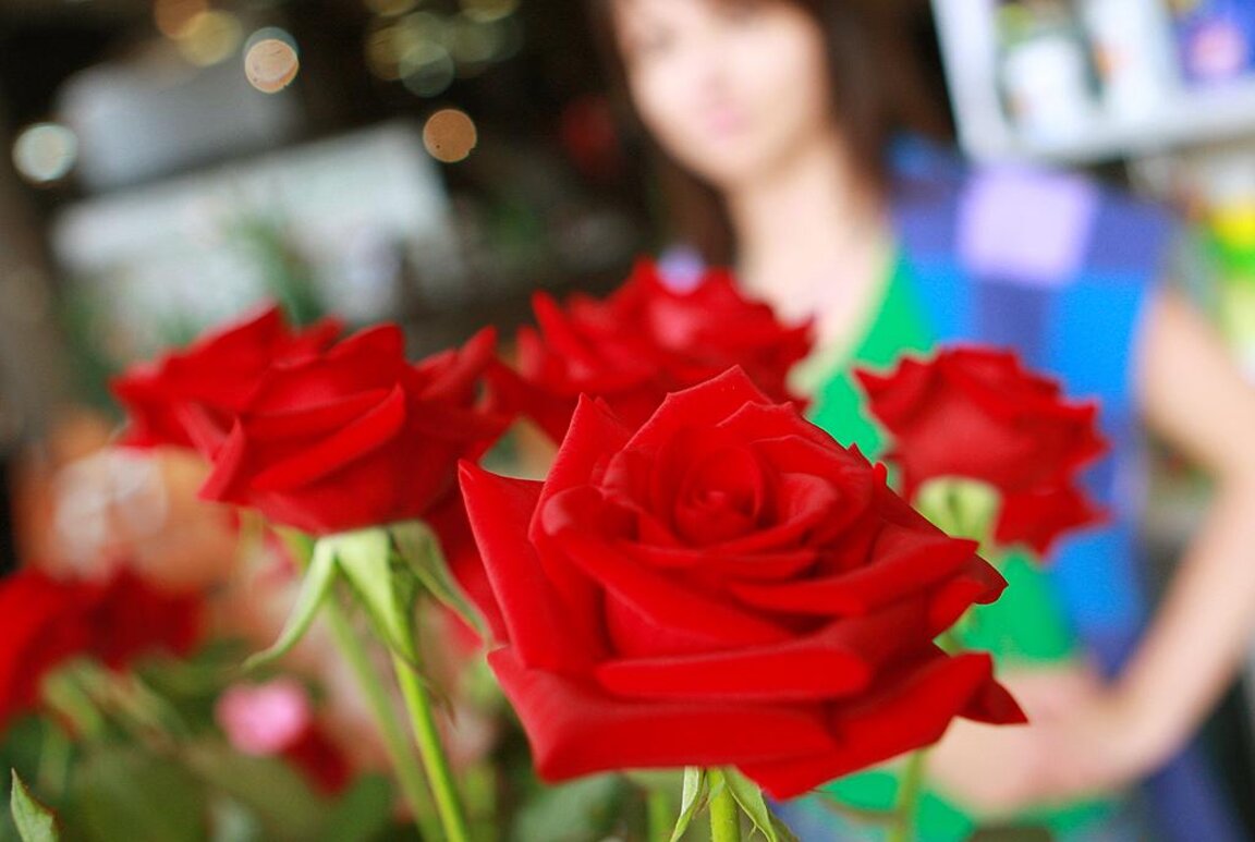 Dimitar Valchev – ‘A Bulgarian Rose’