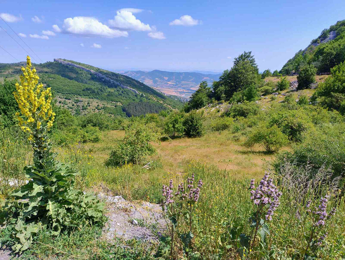 Bulgarien in Bildern: Faszinierende Auss...