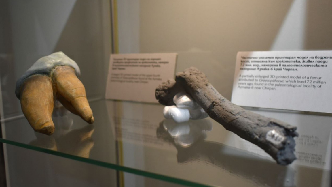 Zbulim në Bullgari tregon se paraardhësi...