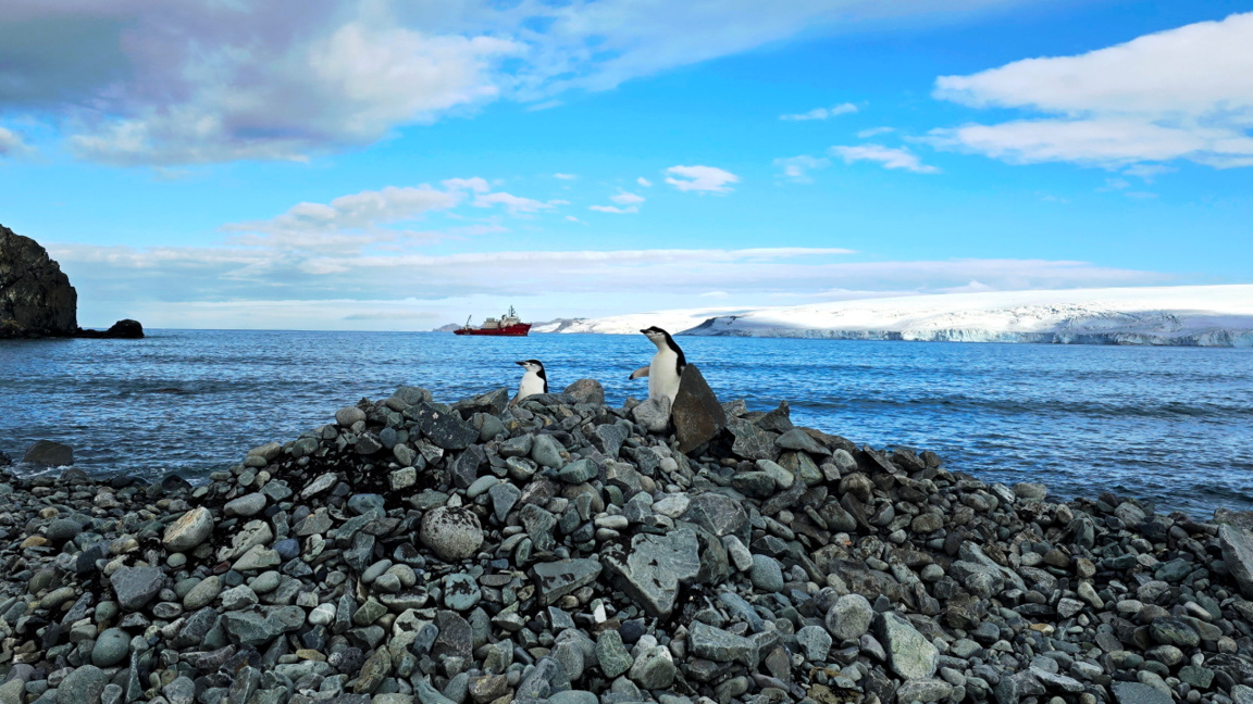 Ekspedita e 34 në Antarktidë është një n...