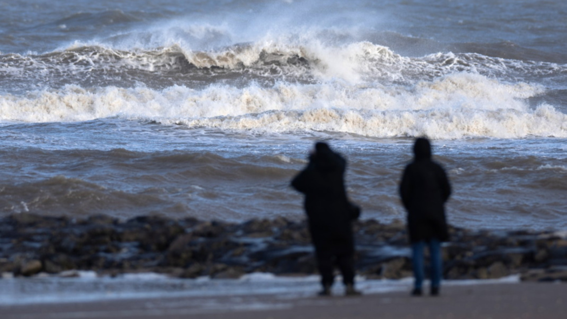 снимката е илюстративна