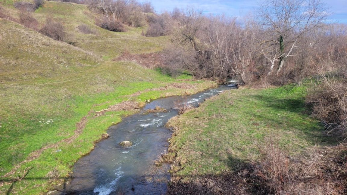 Общинският съвет в Кула определи пасищат...