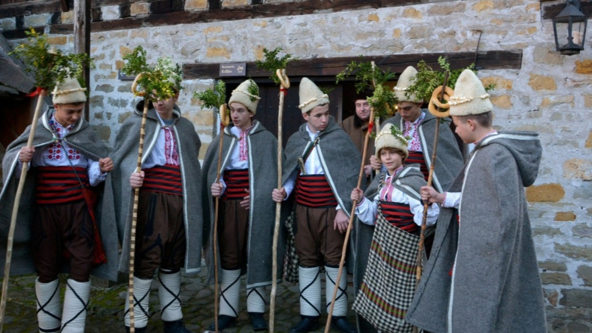 Училище за коледари