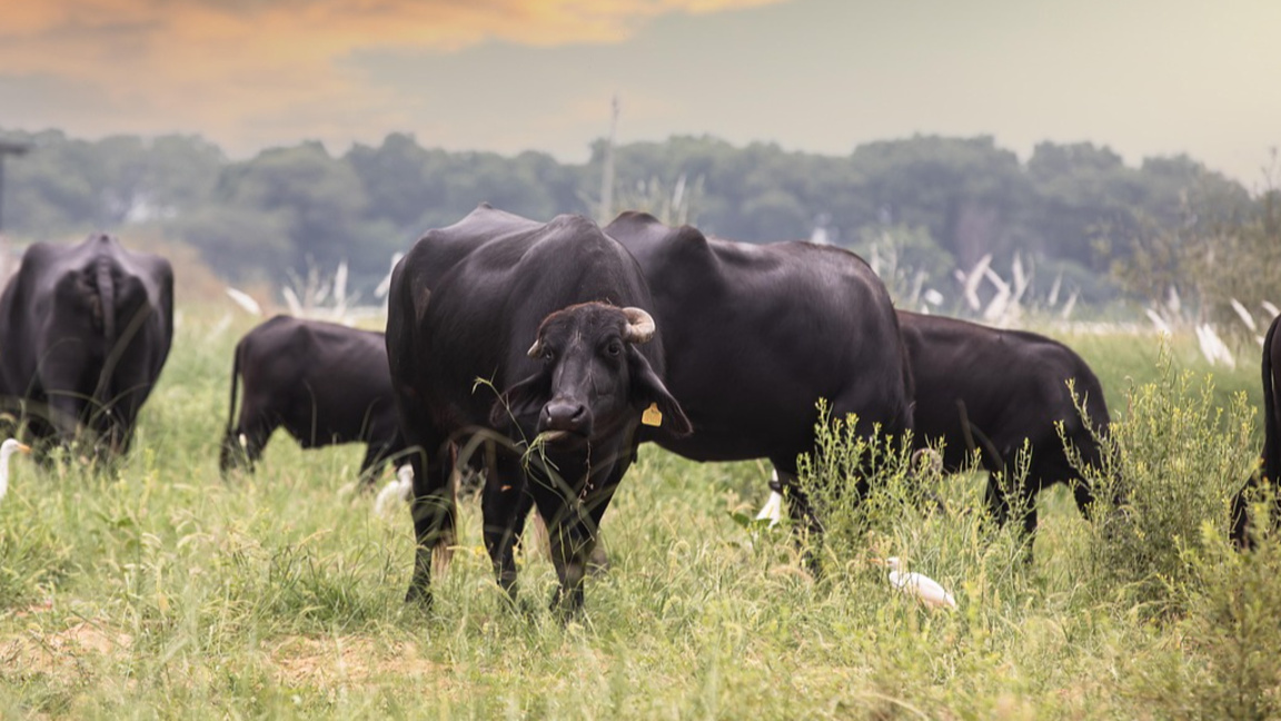 Снимката е илюстративна