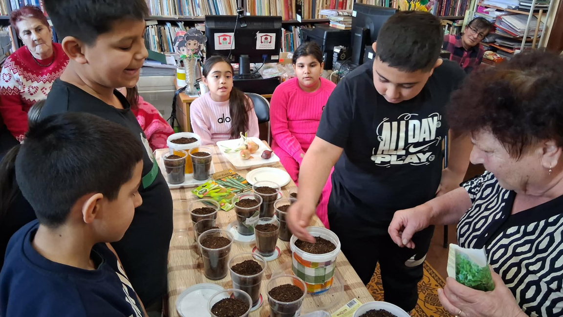 Как от едно семенце се появява растениет...