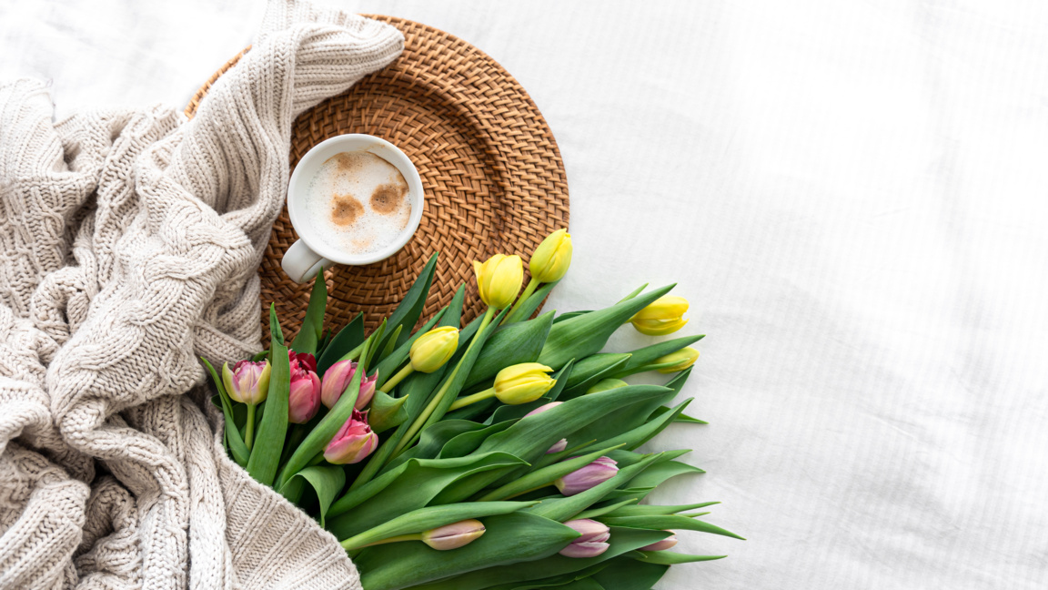 „Отвори очи от 7 до 10 с БНР-Бургас“ на ...