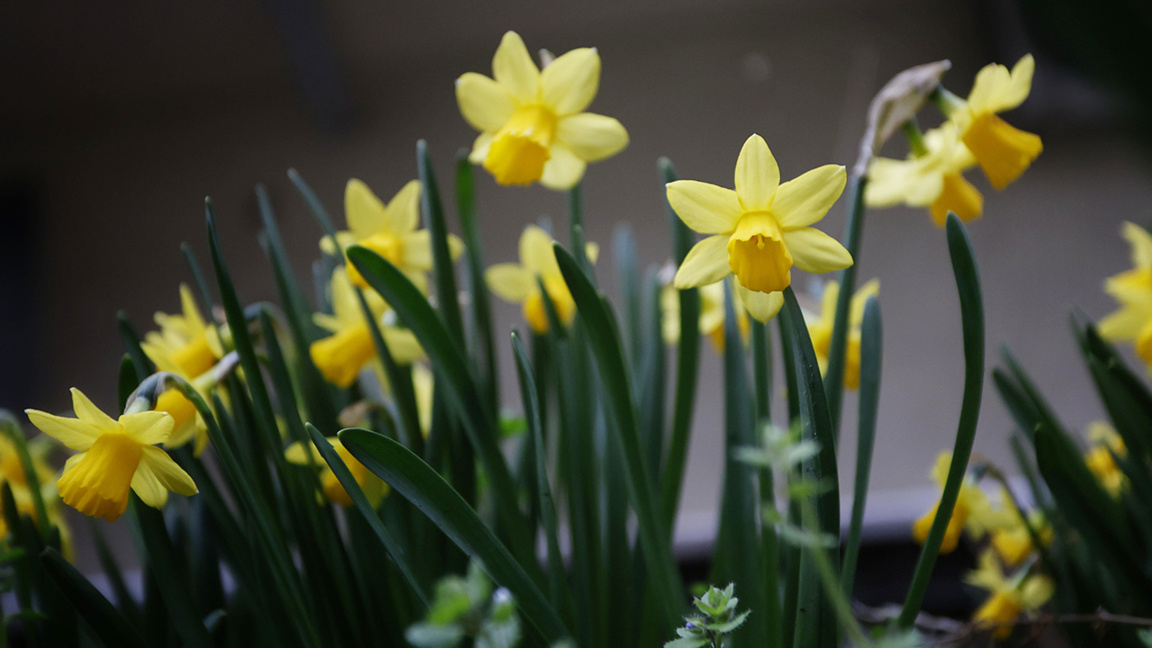 Wetteraussichten für das Wochenende...