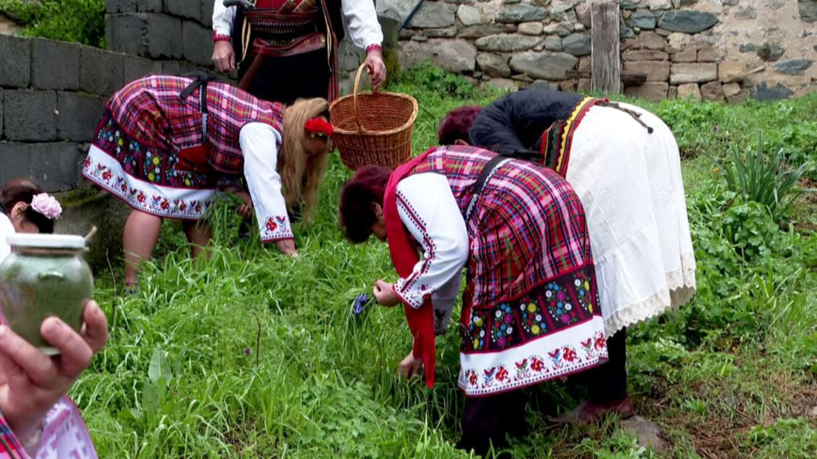Фестивал на самардалата с благотворителн...