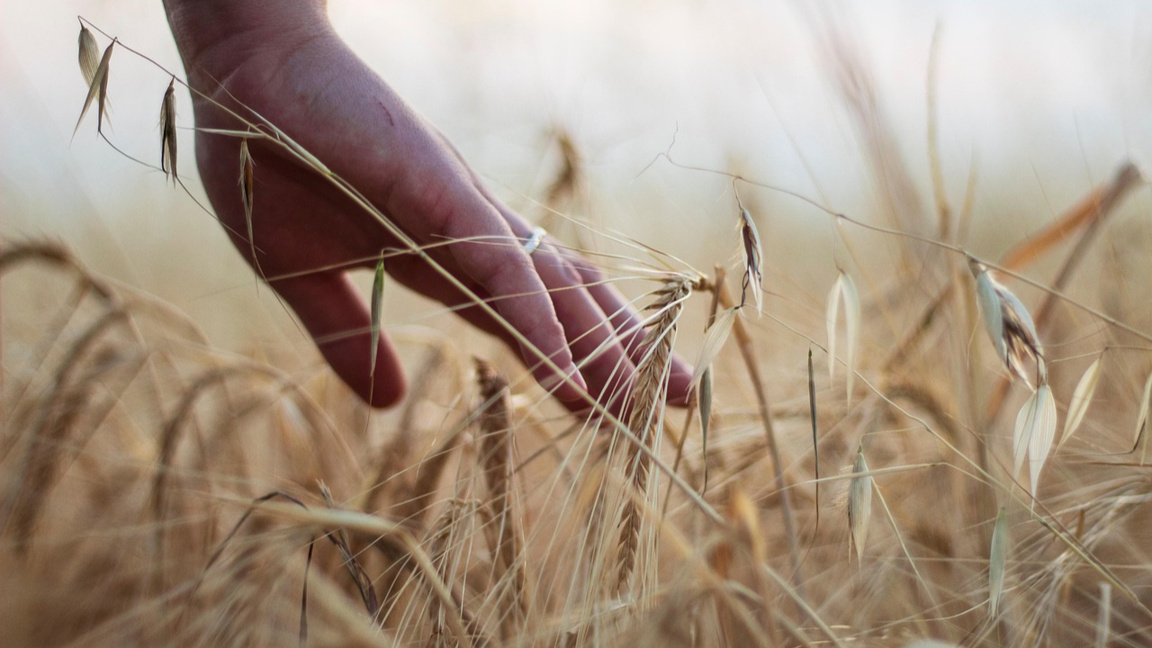 Преговорите между ЕС и Меркосур извадиха наяве страхове на фермерите в Европа