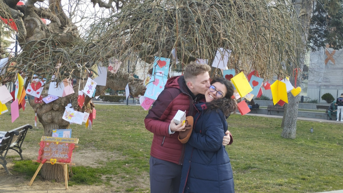 Дърво на влюбените в Русе...