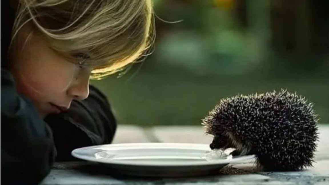 За децата, за парите, за най-ценния ресу...