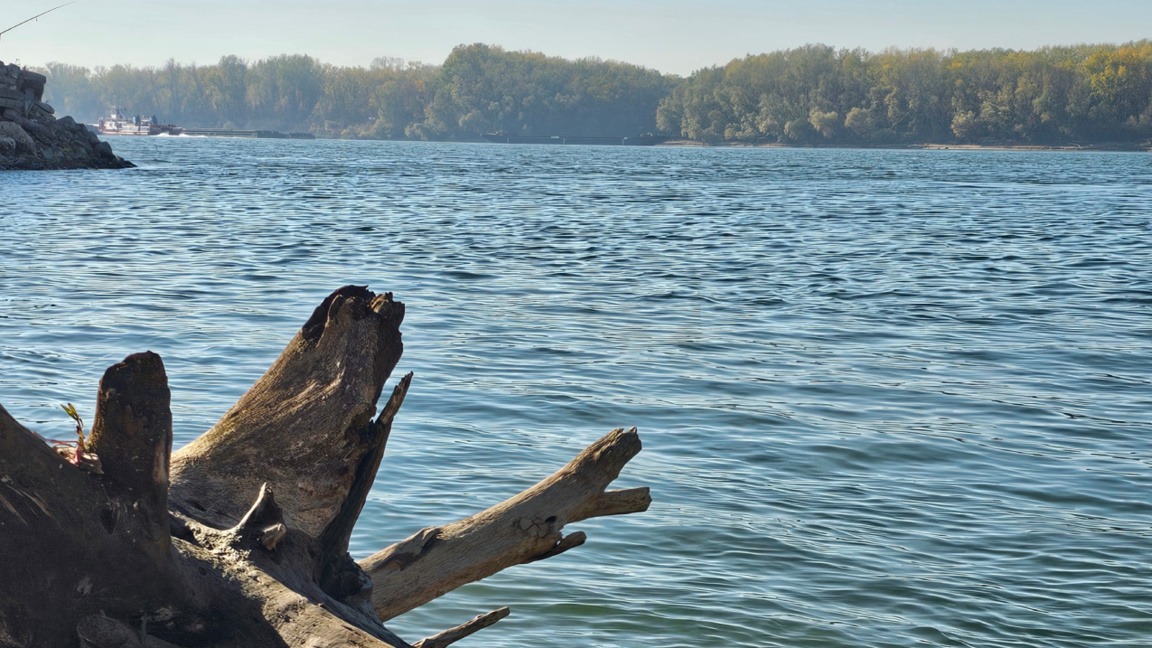 Седам земаља расправља о еколошким изазовима на Дунаву