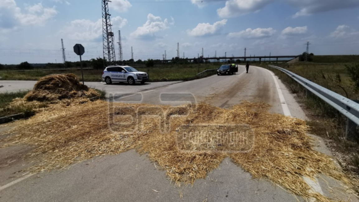 предпазни мерки срещу африканската чума