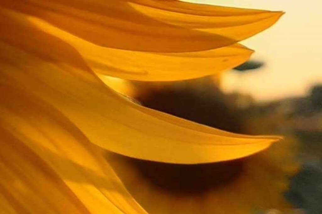 С Радио Шумен и във вторник