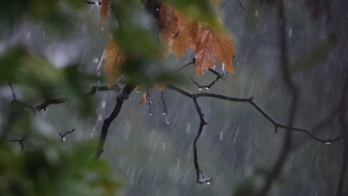 Rainy with yellow code for precipitation...
