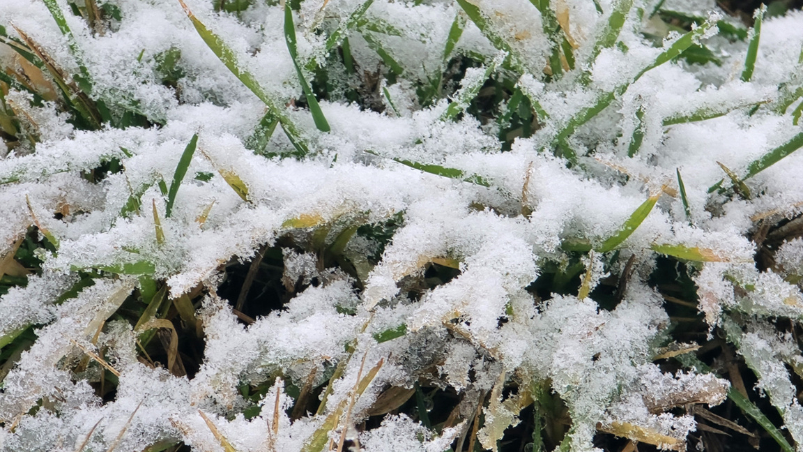 Жълт и оранжев код за сняг и вятър