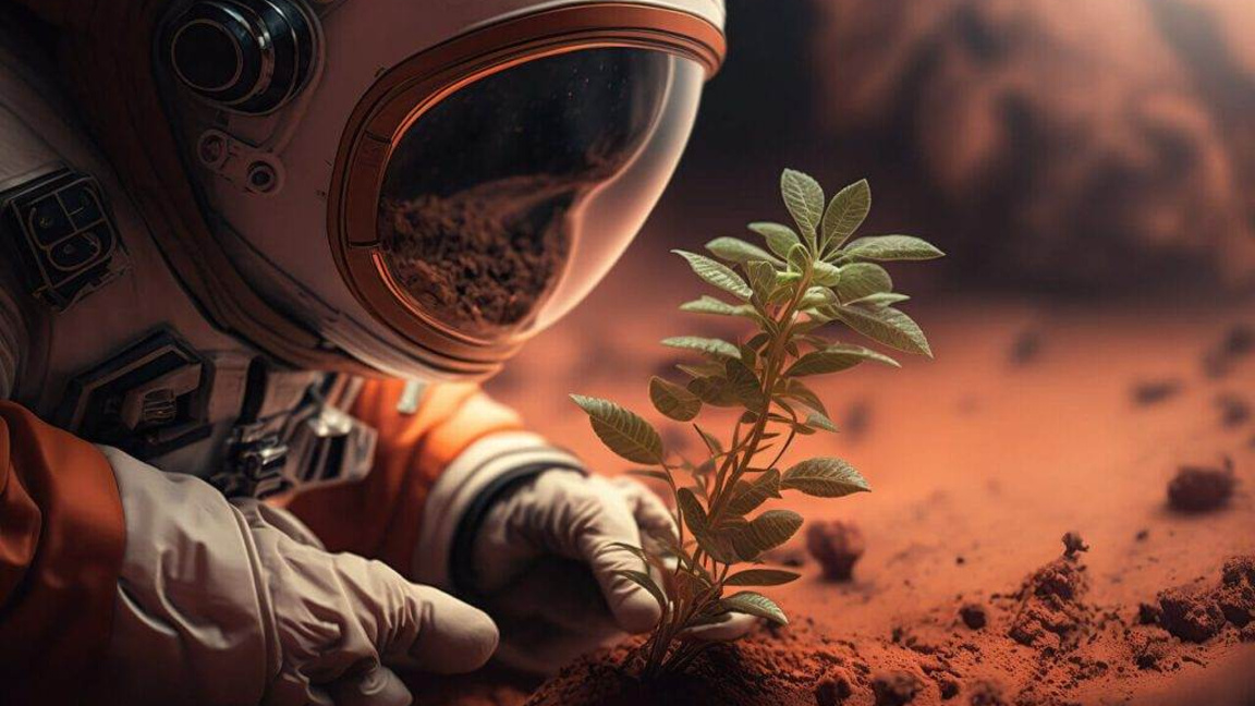 Българчета с награда на Космическото общ...