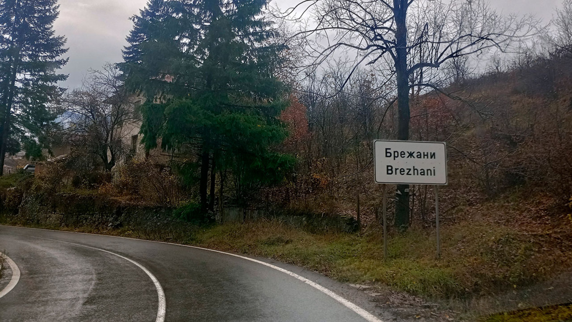 Кестените на село Брежани