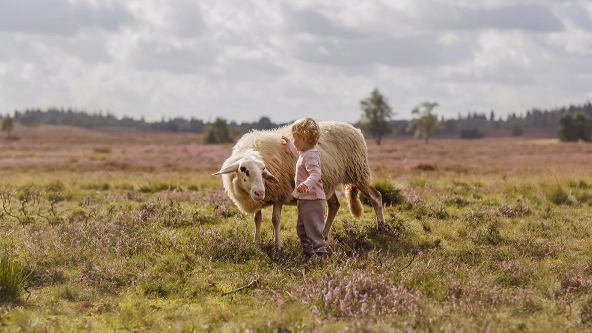 Cuma öğleden sonra...